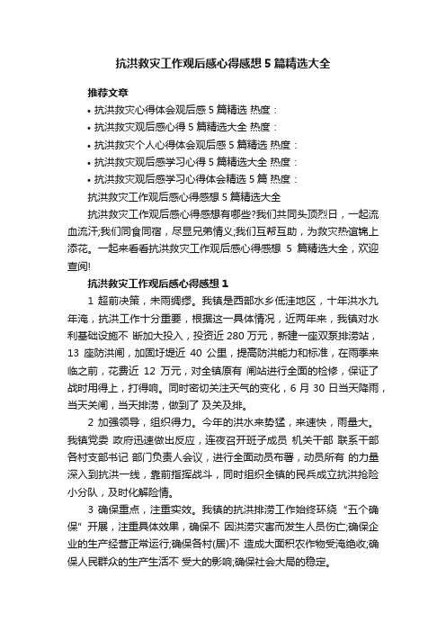 抗洪救灾工作观后感心得感想5篇精选大全