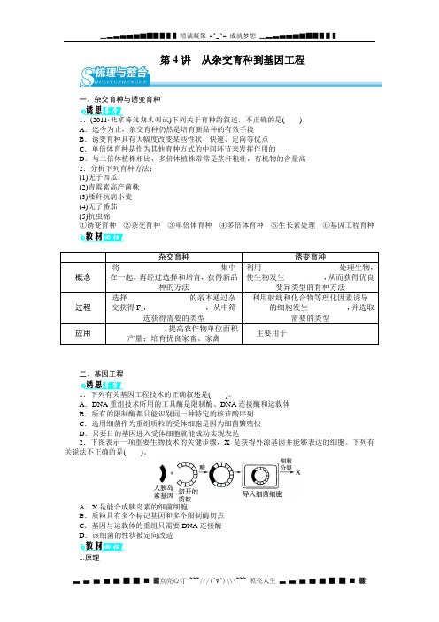 高考第一轮复习生物必修二第四单元第4讲从杂交育种到基因工程