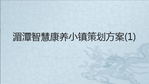 湄潭智慧康养小镇策划方案课件