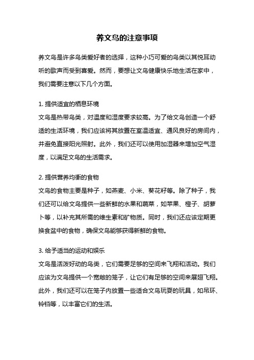 养文鸟的注意事项