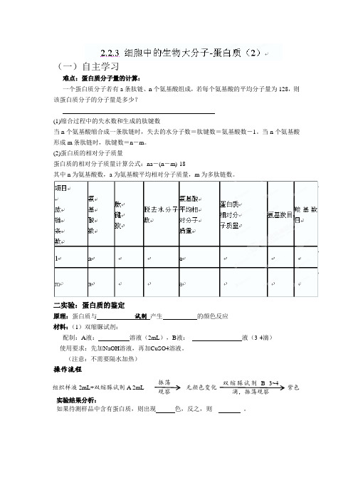 江苏省徐州市贾汪区建平中学高二生物 223 细胞中的生物大分子-蛋白质(2)学案