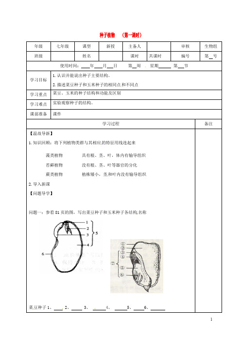 内蒙古鄂尔多斯市七年级生物上册 3.1.2 种子植物学案(无答案)(新版)新人教版