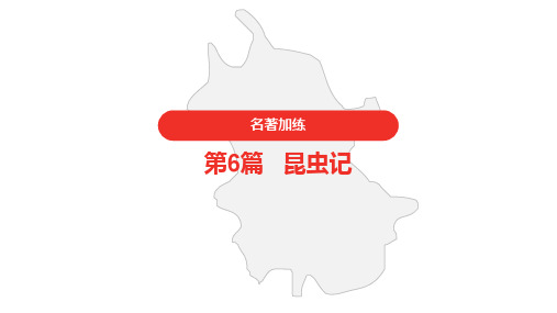 2021年中考语文复习 名著加练 第6篇 昆虫记