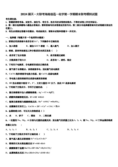 2024届天一大联考海南省高一化学第一学期期末联考模拟试题含解析