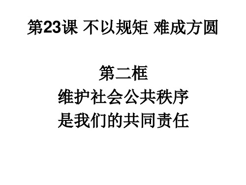 维护社会公共秩序是我们的共同责任共31张PPT