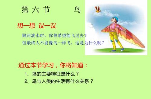 新人教版八年级生物上册_第六节鸟_PPT