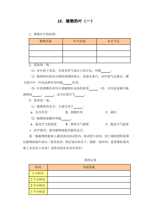 四年级科学上册第十课检测