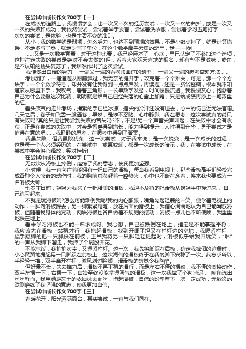 在尝试中成长作文700字