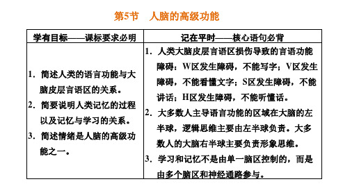 第5节人脑的高级功能