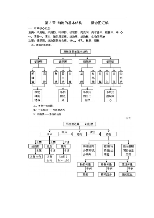 高中生物必修二第三章知识框架图教学文稿