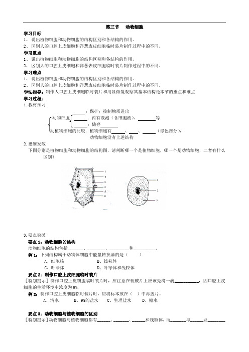 081.人教版七年级生物上册2.1.3动物细胞-导学案