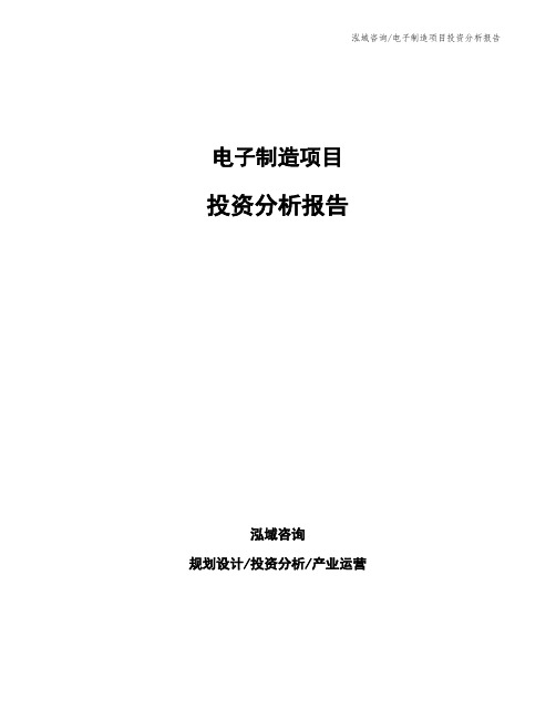 电子制造项目投资分析报告