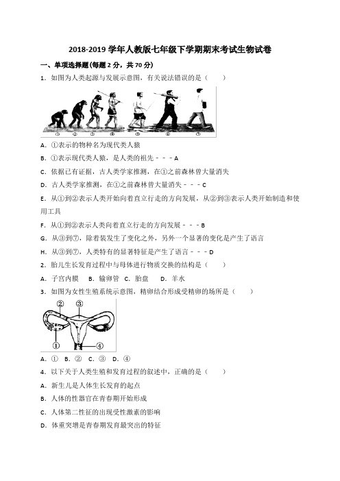 2018-2019学年人教版七年级下学期期末考试生物试卷(含答案)