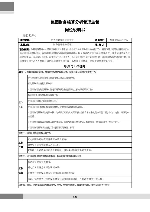 集团财务信息管理主管岗位说明书