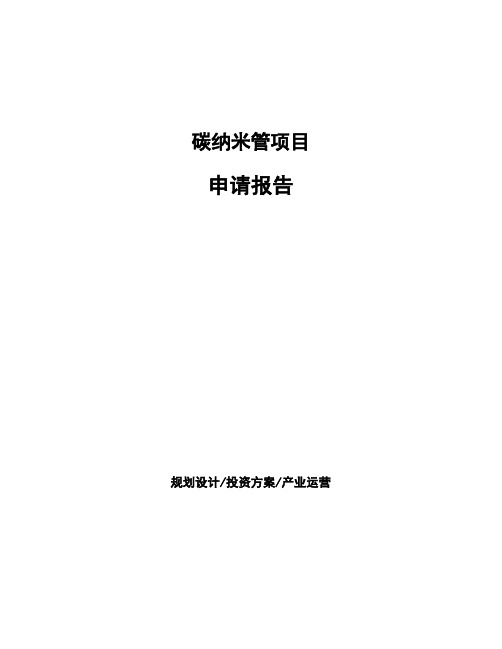 碳纳米管项目申请报告