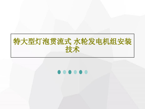 特大型灯泡贯流式 水轮发电机组安装技术35页PPT