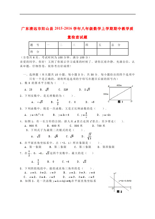 广东清远市阳山县八年级数学上学期期中教学质量检查试题 新人教版