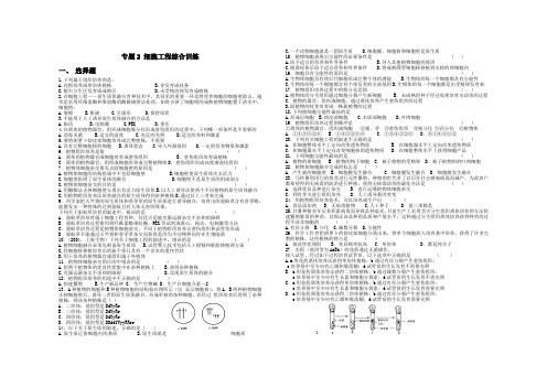 专题2 细胞工程综合训练