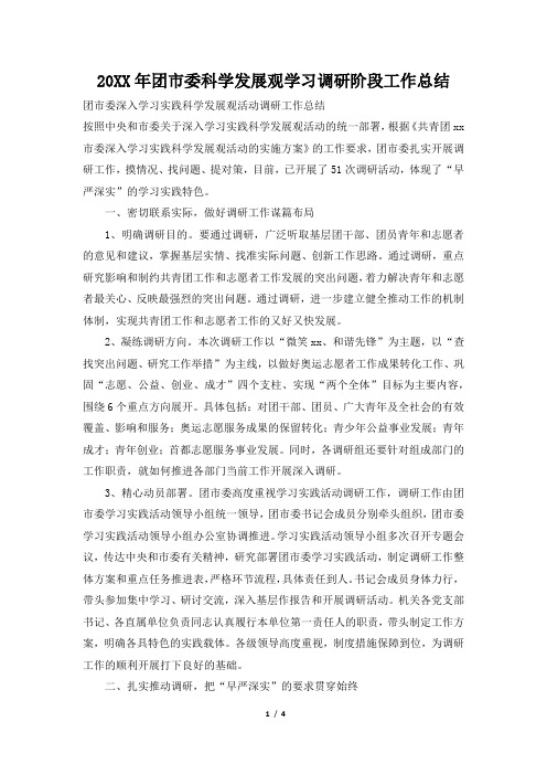 2019年团市委科学发展观学习调研阶段工作总结