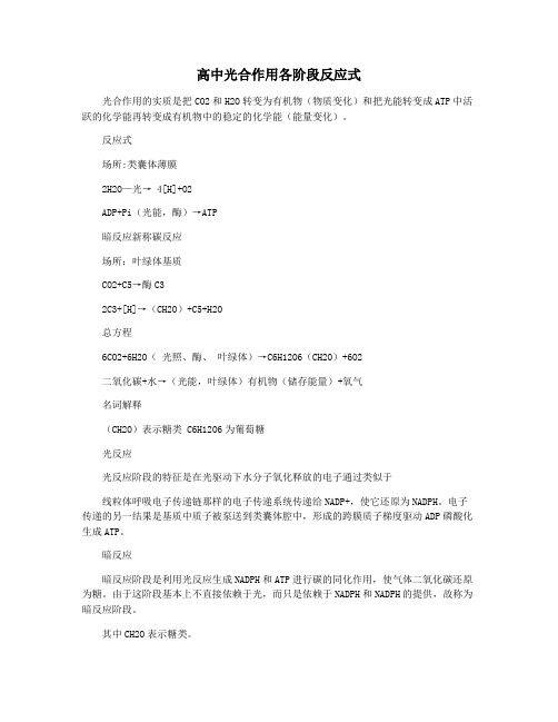 高中光合作用各阶段反应式