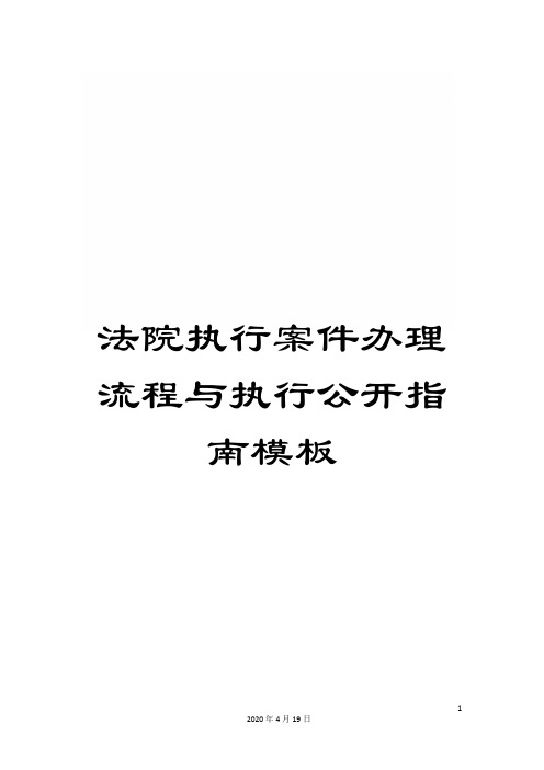 法院执行案件办理流程与执行公开指南模板