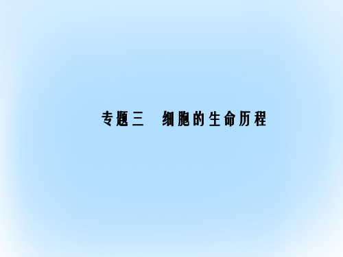 高考生物二轮复习 专题辅导与训练 第一部分 专题整合篇 专题三 细胞的生命历程课件