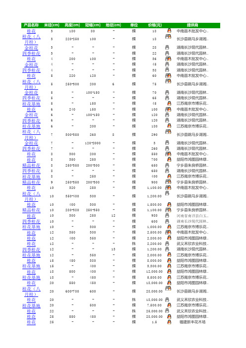 桂花树报价