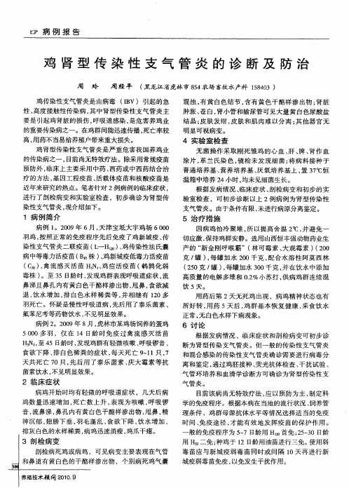 鸡肾型传染性支气管炎的诊断及防治