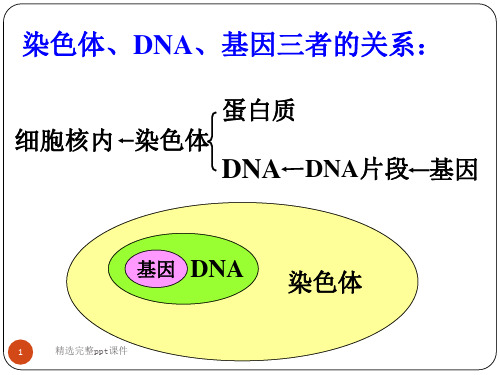 人的性状和遗传