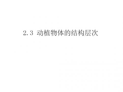 七年级生物上册 第二单元 第二章《细胞怎样构成生物体