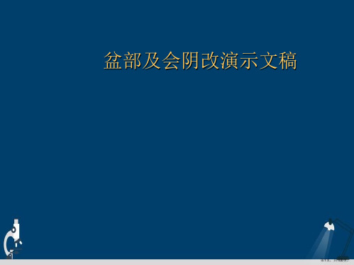 盆部及会阴改演示文稿