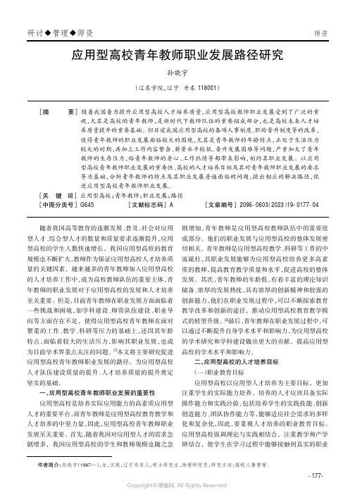 219525032_应用型高校青年教师职业发展路径研究