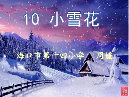 10 小雪花