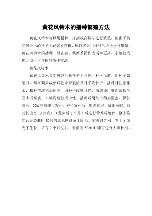 黄花风铃木的播种繁殖方法
