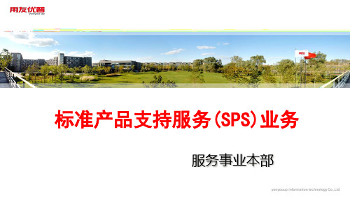 标准产品支持服务(SPS)业务介绍