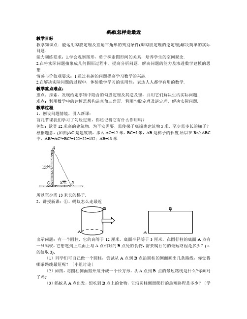 蚂蚁怎样走最近