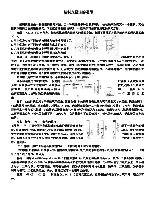 鲁教版九年级化学例题解析：控制变量法的运用