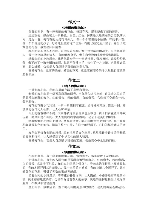 作文梅花山400字四年级