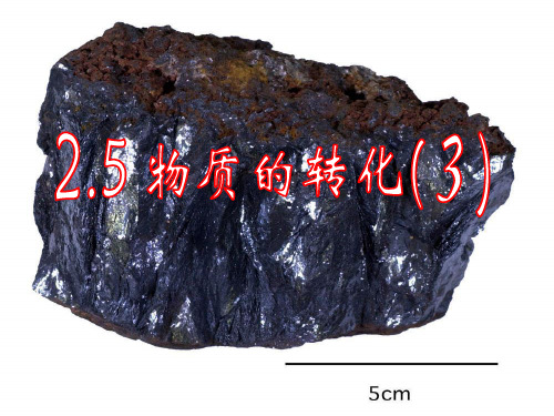 2.5物质的转化—浙教版九年级科学上册课件+素材3