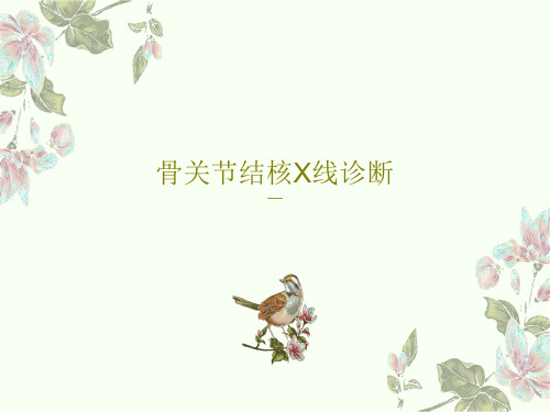 骨关节结核X线诊断19页PPT