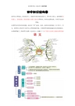 初中知识结构图