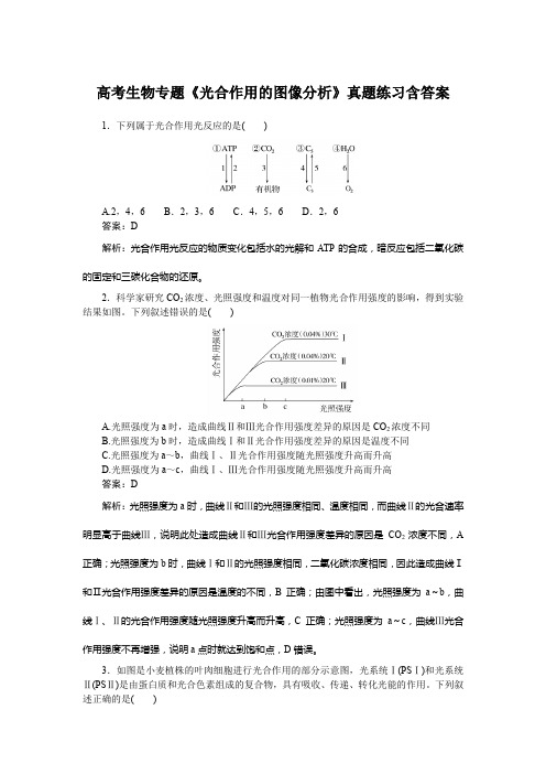 高考生物专题《光合作用的图像分析》真题练习含答案