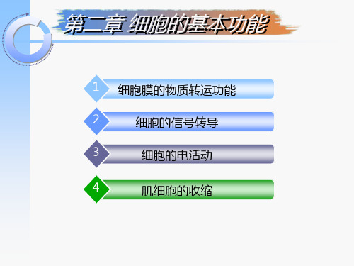 2-2细胞信号转导和生物电现象