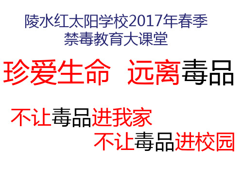 《珍爱生命--远离毒品》禁毒教育课件