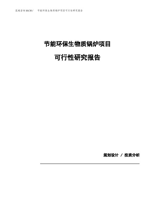 节能环保生物质锅炉项目可行性研究报告模板范文(立项备案项目申请)