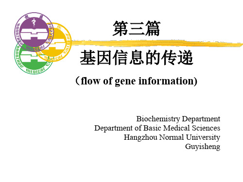 DNA复制生物化学-PPT精品文档111页