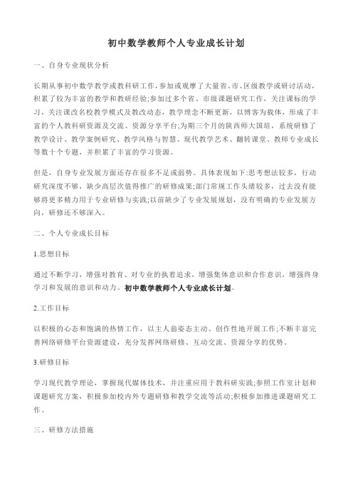 初中数学教师个人专业成长计划