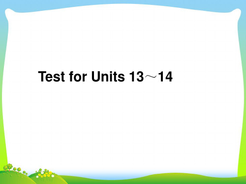 新人教版九年级英语 Test for Units 13～14.ppt