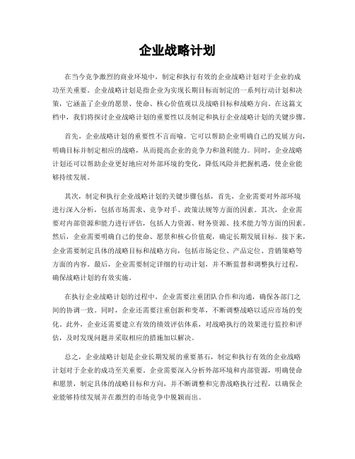 企业战略计划