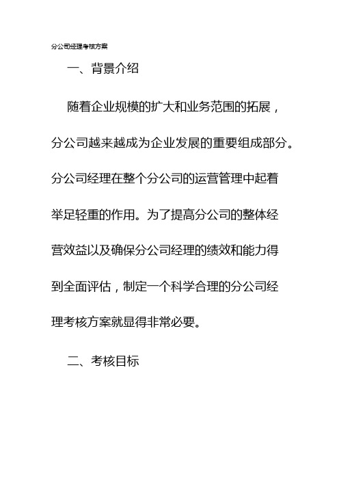 分公司经理考核方案